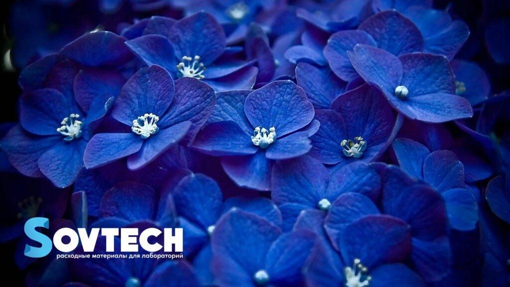 Международный женский день 8 Марта!